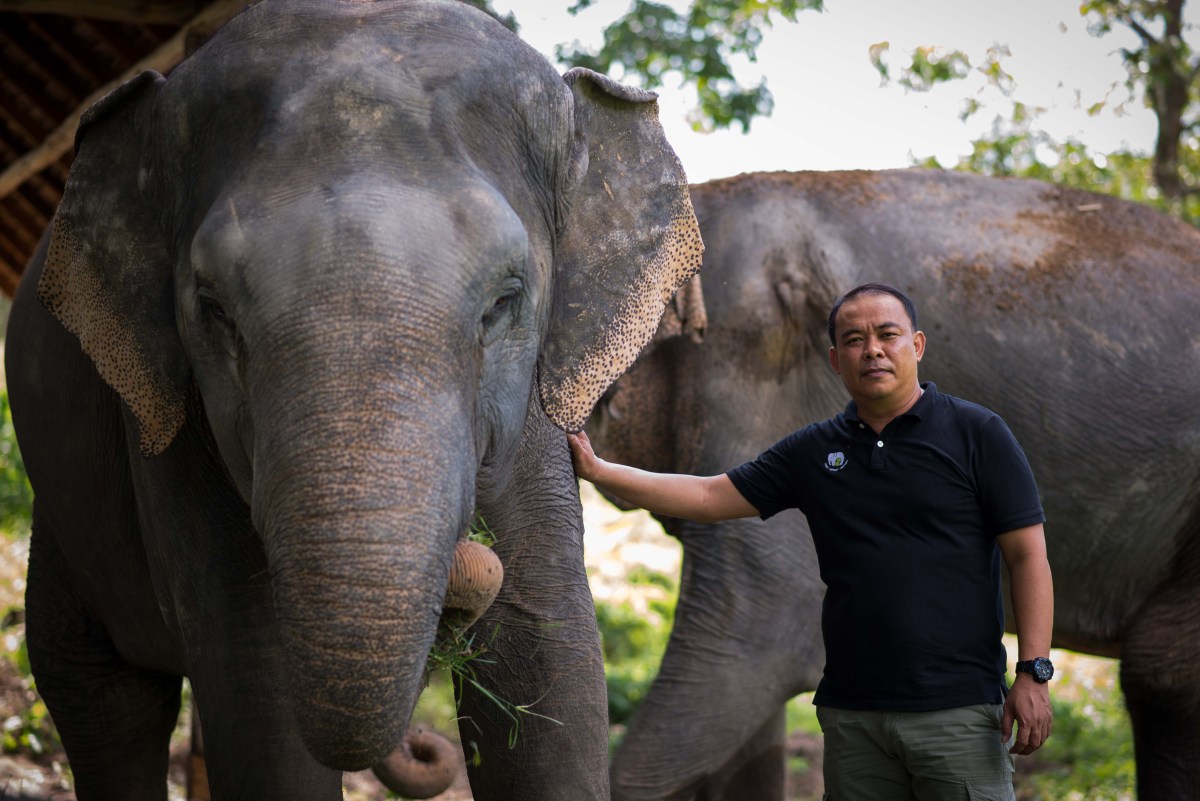 phuketelephantsanctuary_about_montri