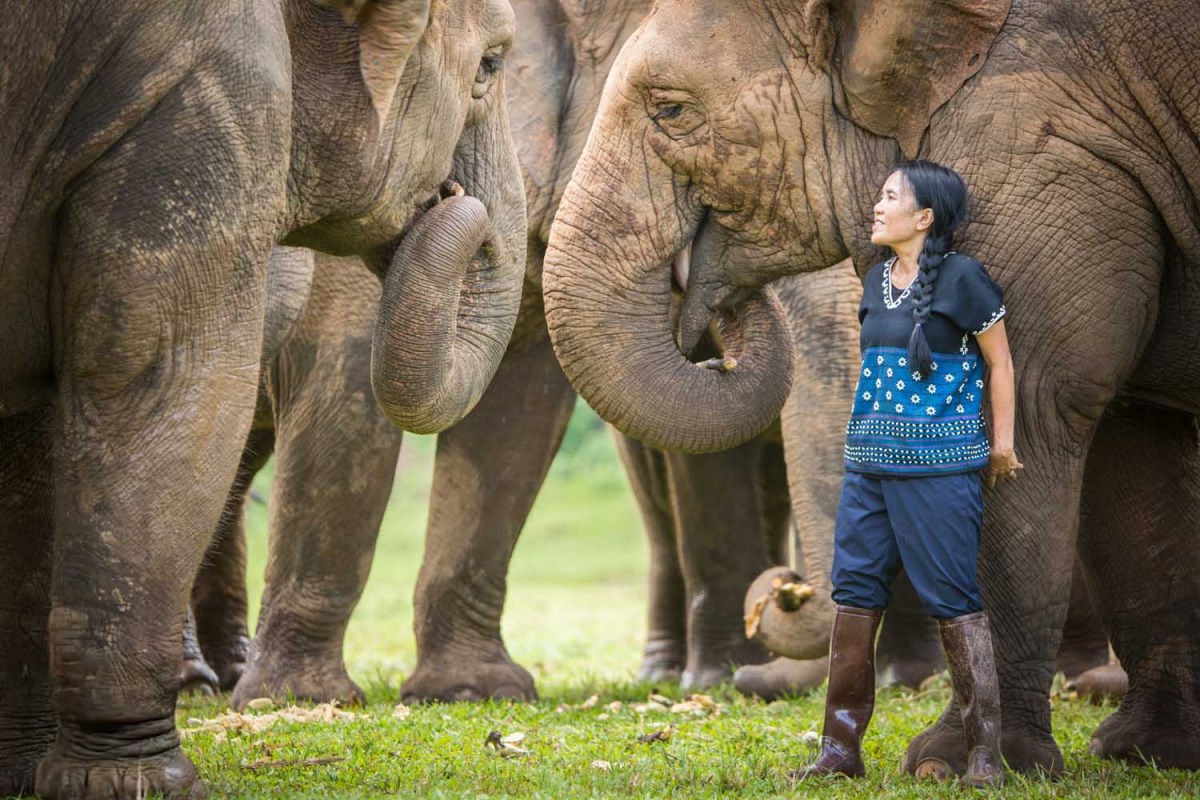 a person and a baby elephant