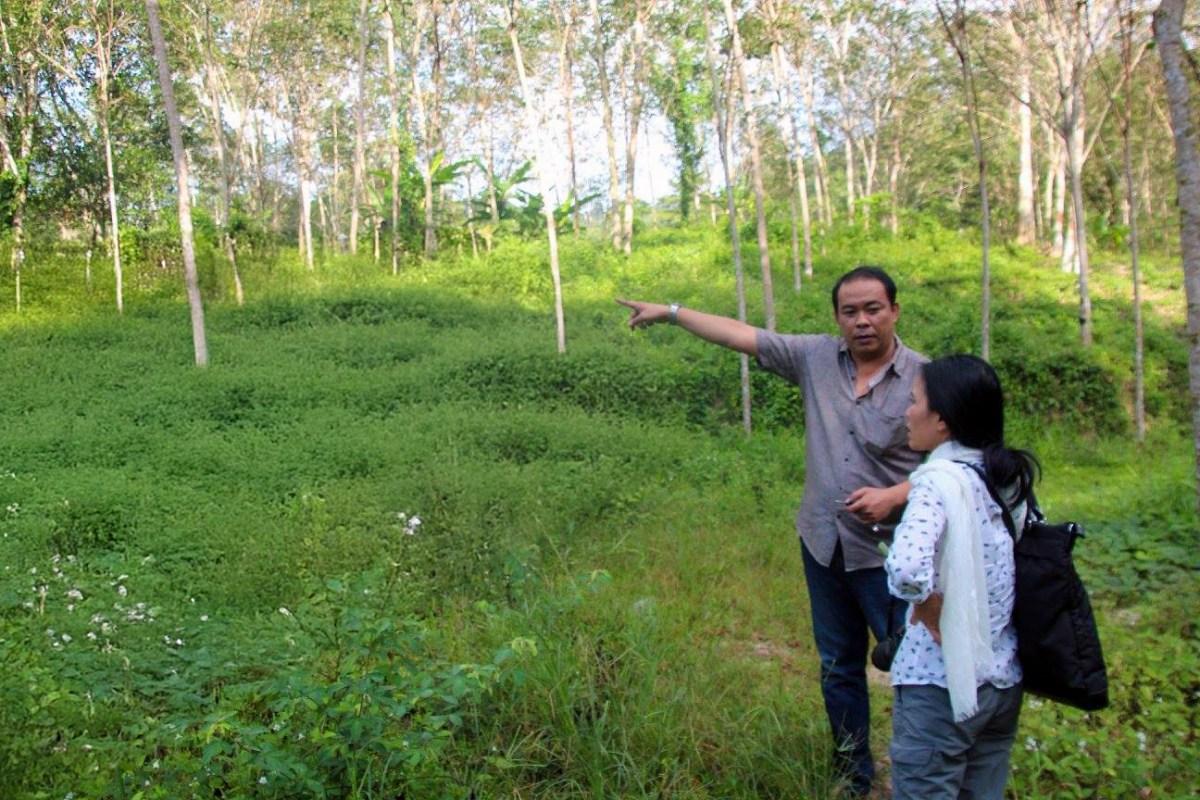 phuketelephantsanctuary_about_timeline-2015