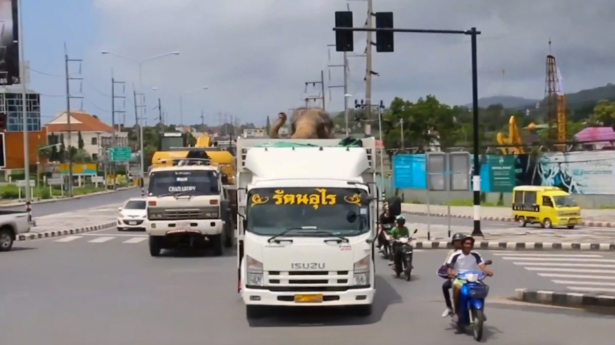 a truck on a city street filled with lots of traffic