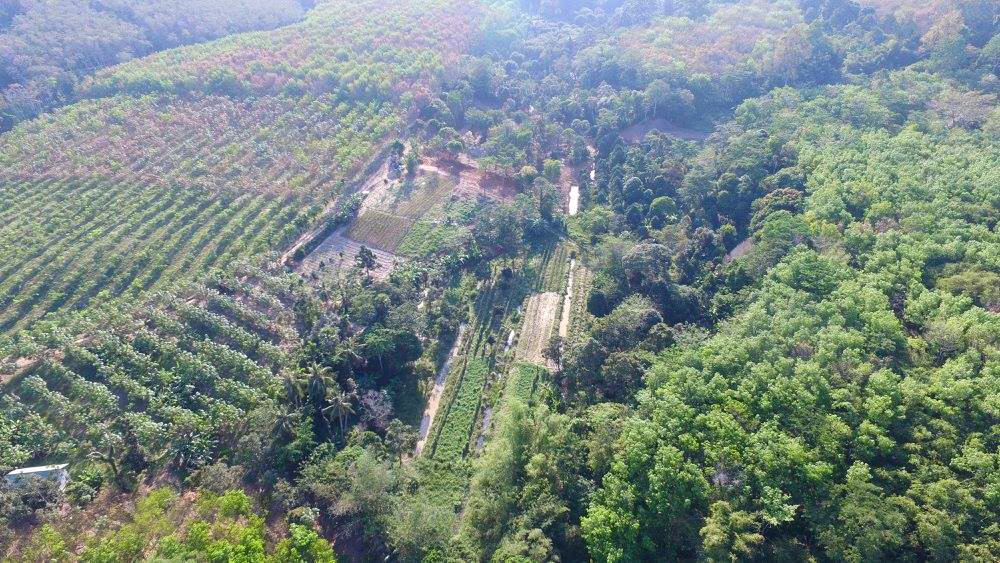 a view of a lush green hillside