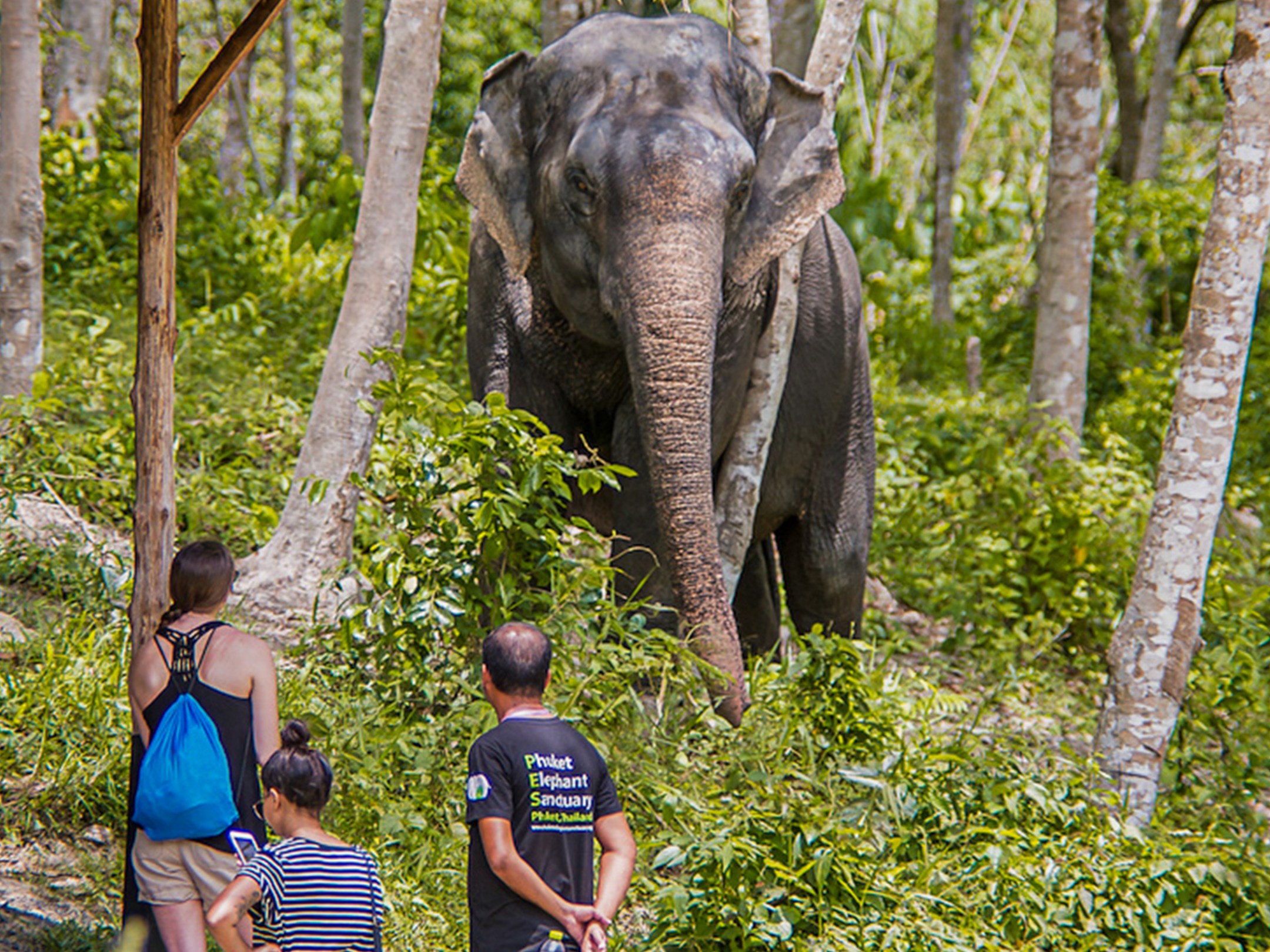 a group of people riding on the back of an elephant
