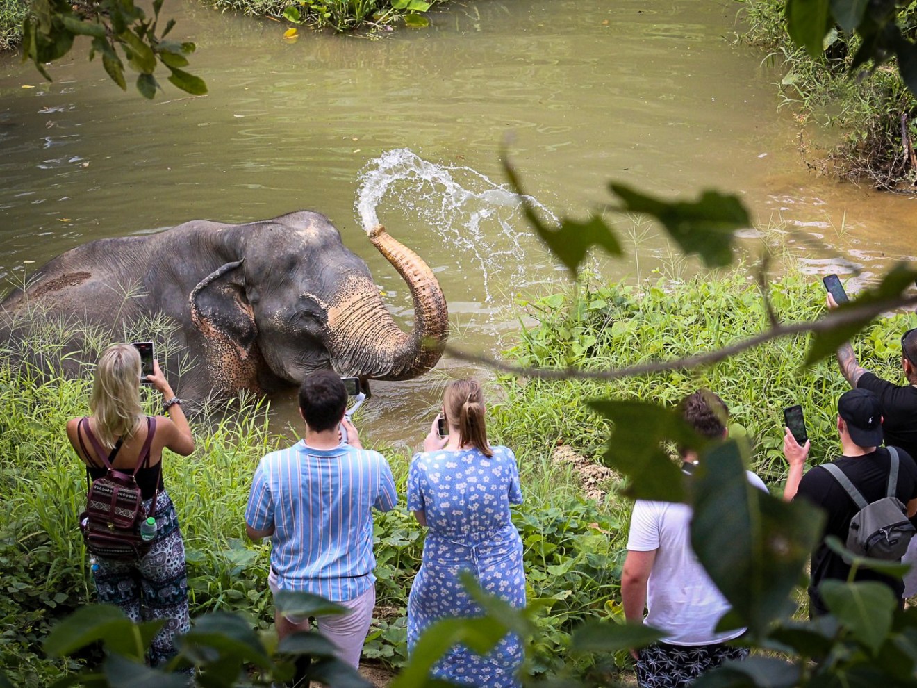 a group of people standing in a river