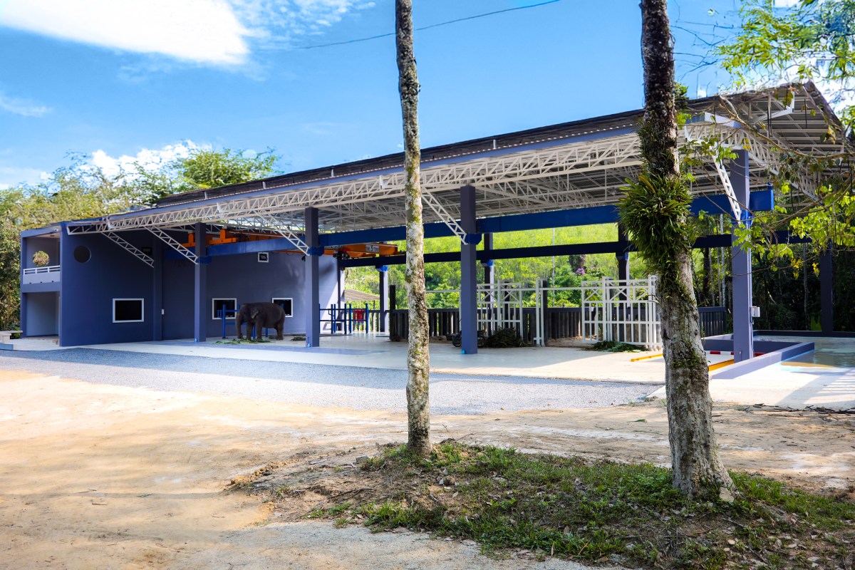phuketelephantsanctuary_homepage_elephant-hospital_updated