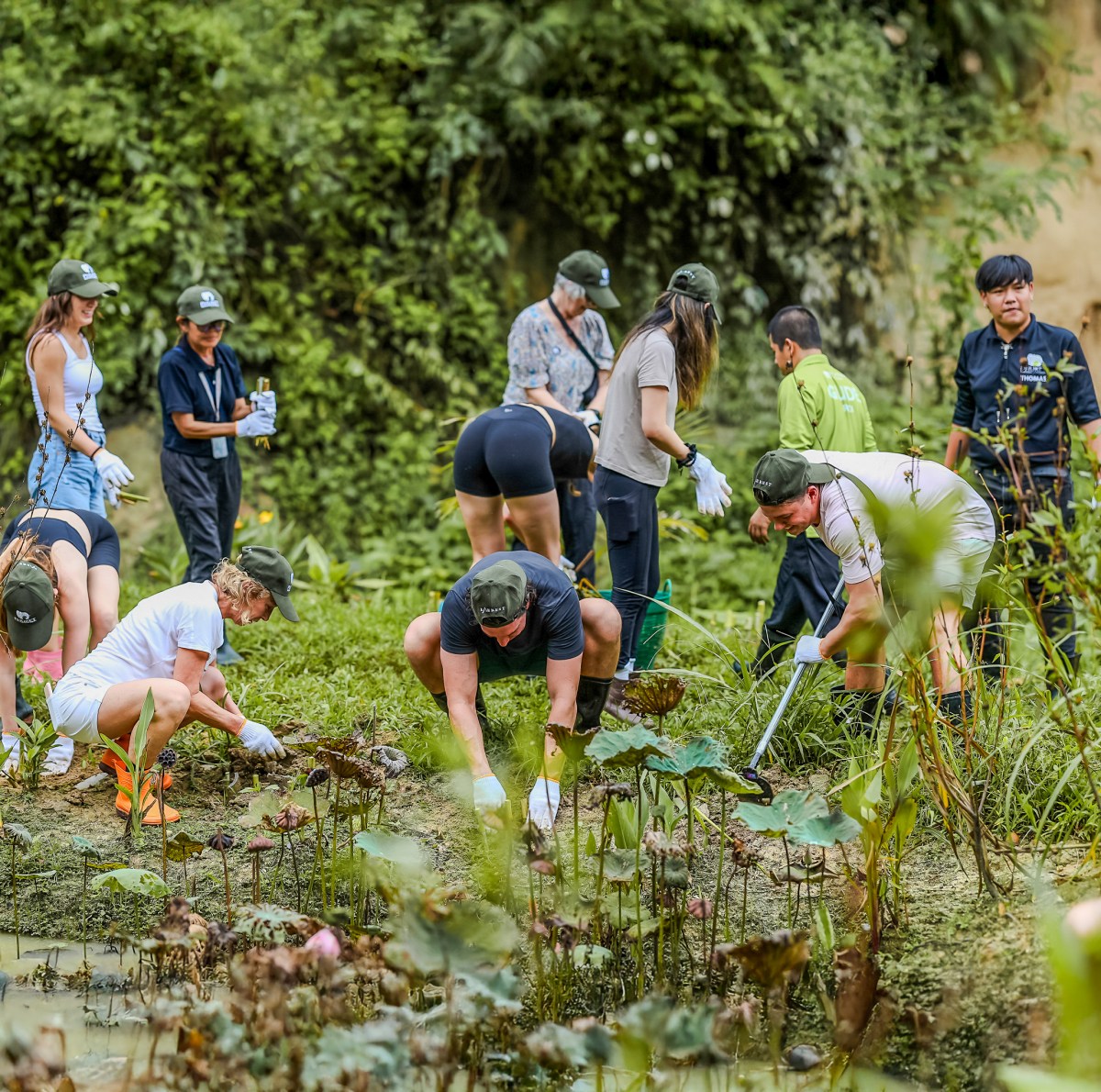 phuketelephantsanctuary_CSR_groups A group of CSR volunteers planting trees at Phuket Elephant Sanctuary