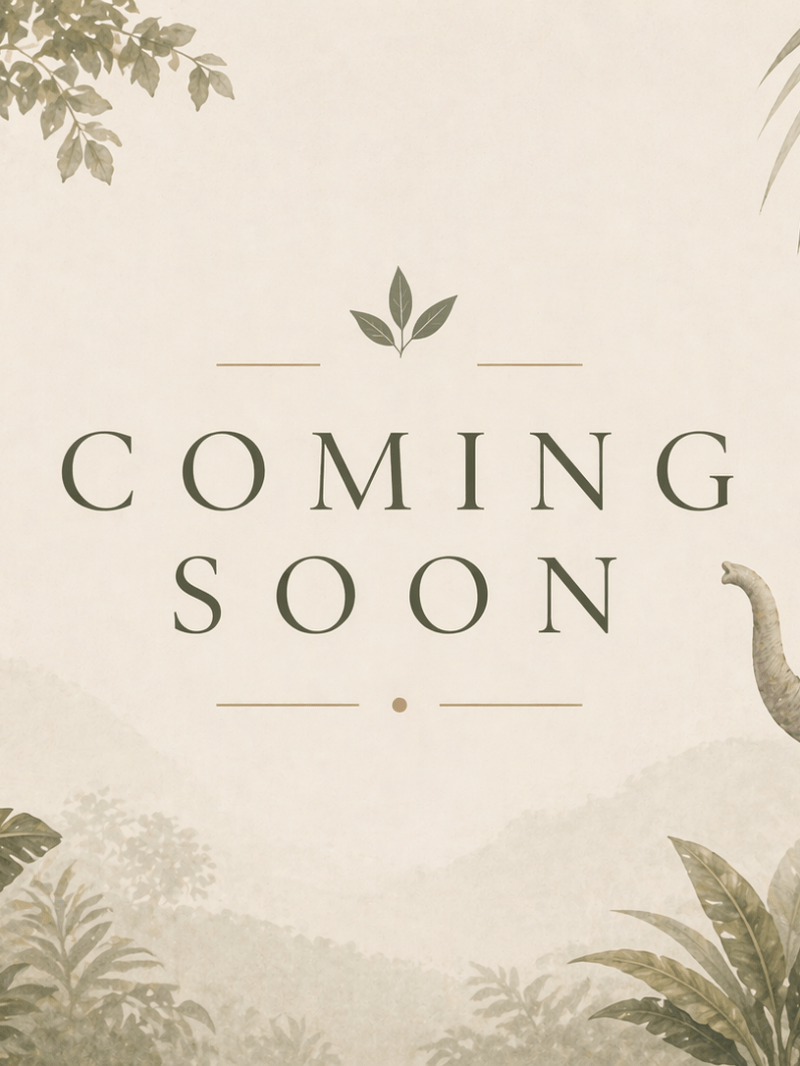 Illustration of an elephant among tropical plants with 'Coming Soon' text.
