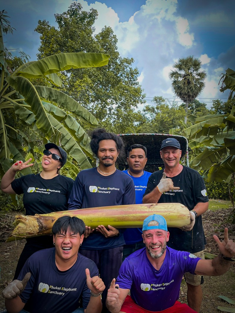 Group of six people smiling, holding a large plant stem outside in a tropical setting.