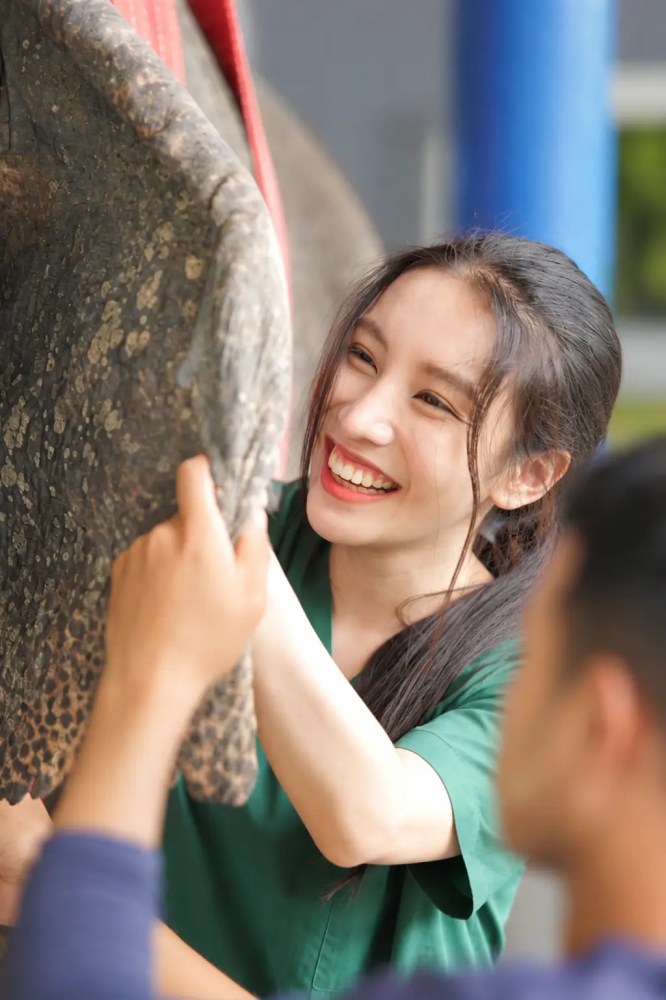 Smiling woman in green scrubs touching elephant with another person