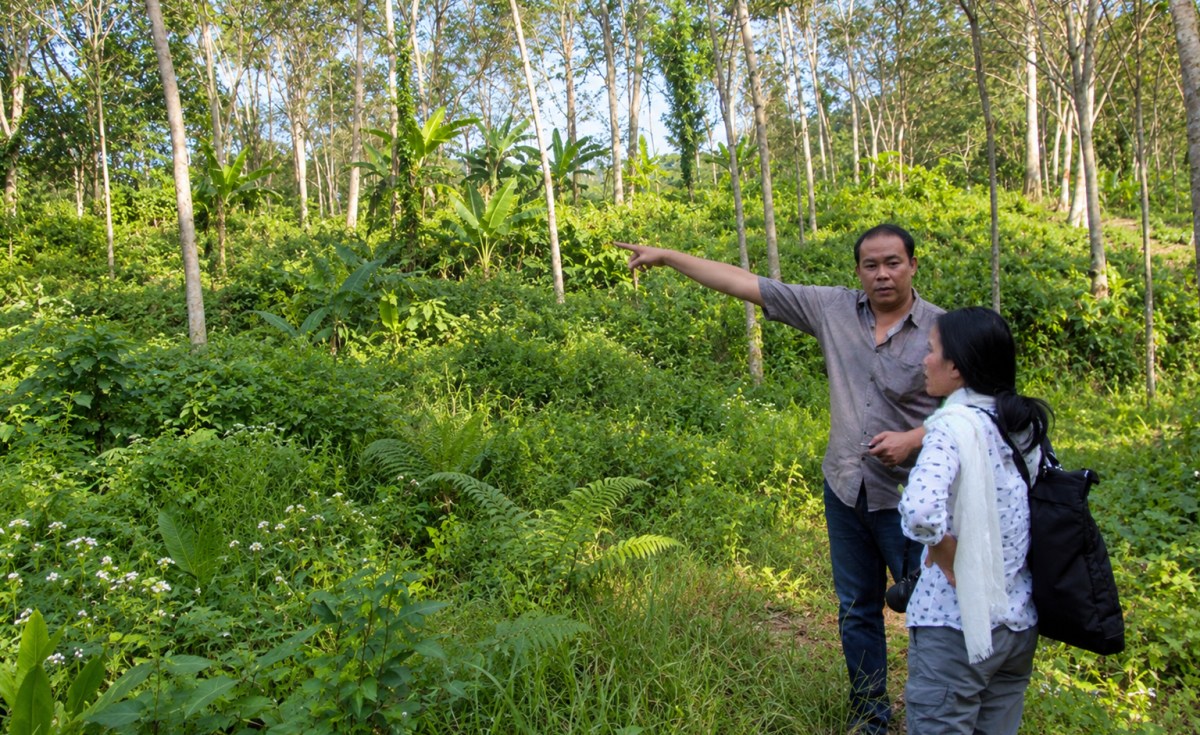 Two people standing in a lush forest, one pointing at the greenery.