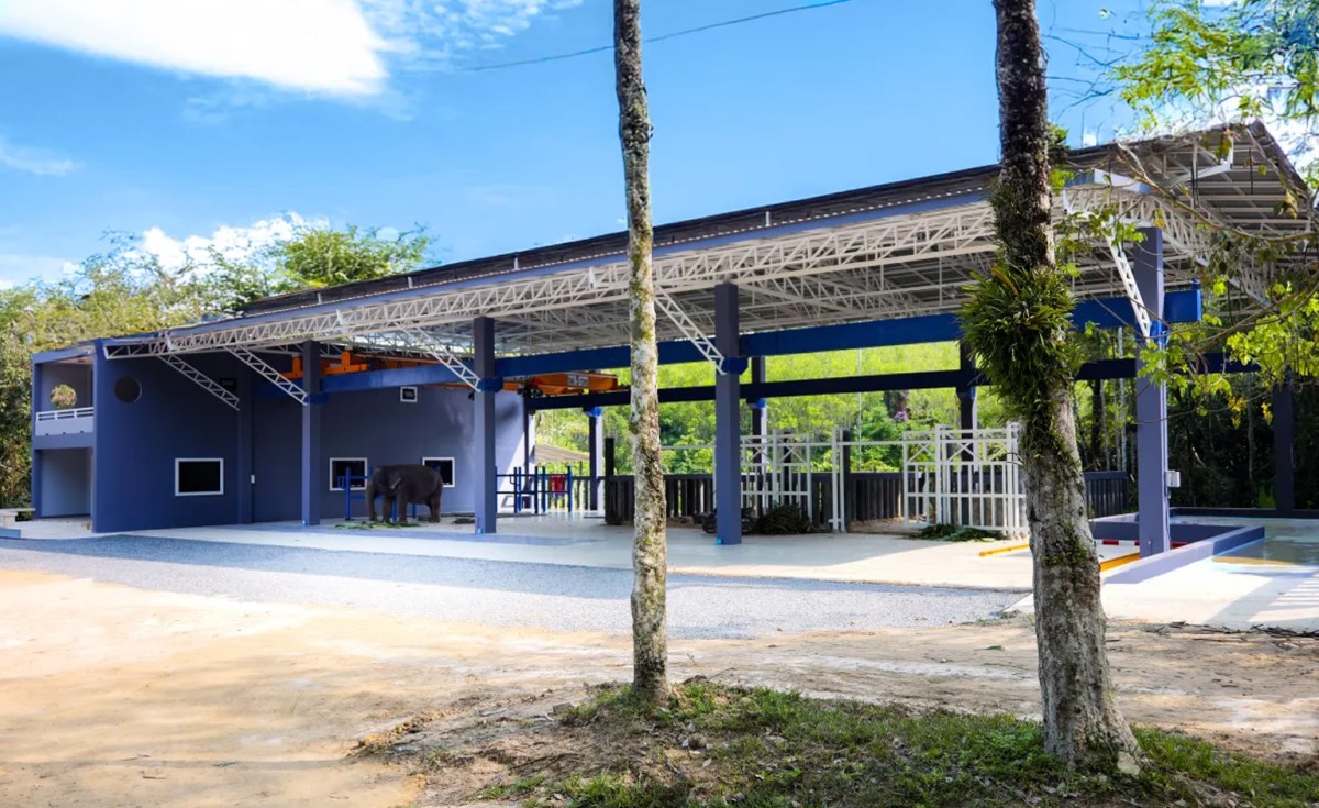 Open structure with a roof, surrounded by trees and a dirt path in a sunny setting.